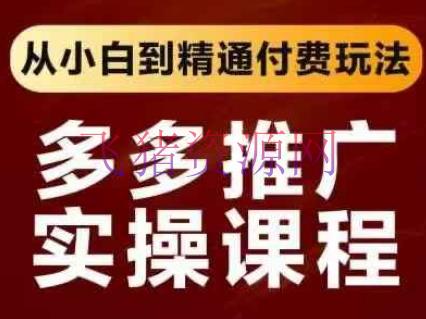 【电商运营】拼多多推行实操课程，从小白到通晓付费玩法 - 拼多多 - 电商运营-飞猪资源网