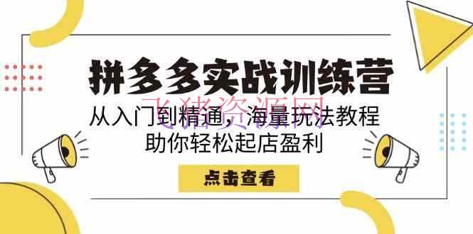【电商运营】拼多多实战训练营，从入门到通晓，海量玩法教程，助你轻松起店盈余 - 拼多多 - 电商运营-飞猪资源网