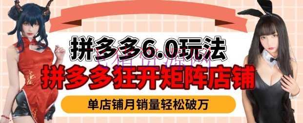 【电商运营】拼多多虚拟产品暴利6.0玩法，轻松完成月入过W - 拼多多 - 电商运营, 虚拟商品-飞猪资源网