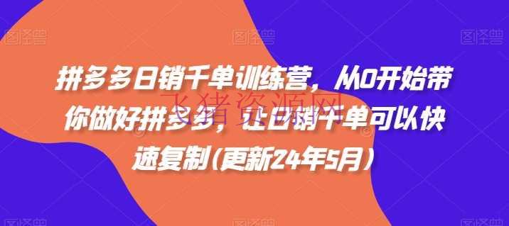 【电商运营】拼多多日销千单训练营，从0开端带你做好拼多多，让日销千单能够快速仿制(更新24年12月) - 拼多多 - 电商运营-飞猪资源网