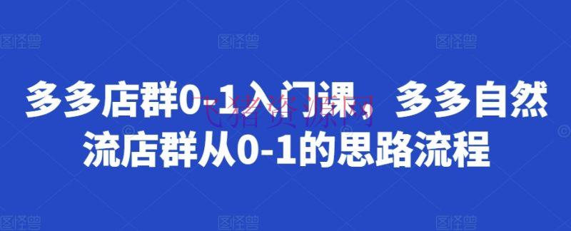 【电商运营】多多店群0-1入门课，多多天然流店群从0-1的思路流程 - 拼多多 - 多多店群, 电商运营-飞猪资源网