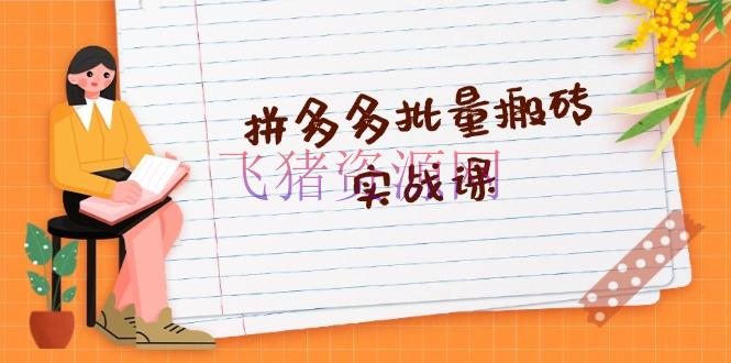 【电商运营】拼多多批量搬砖实战课，全自动编排发布，黑科技新技术与爆款选品战略 - 拼多多 - 搬砖, 电商运营, 网创项目-飞猪资源网