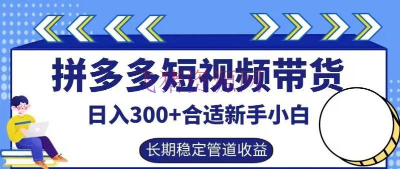 【电商运营】拼多多短视频带货日入300+有长时间安稳被迫收益，适宜新手小白【揭秘】 - 拼多多 - 电商运营, 短视频带货-飞猪资源网