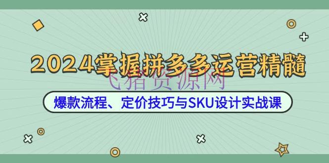 【电商运营】2024把握拼多多运营精华：爆款流程、定价技巧与SKU规划实战课 - 拼多多 飞猪资源网-飞猪资源网