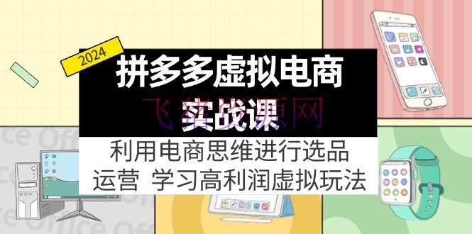 【电商运营】拼多多虚拟电商实战课：虚拟资源选品+运营，高赢利虚拟玩法（更新14节） - 拼多多 - 电商, 电商运营, 虚拟电商-飞猪资源网