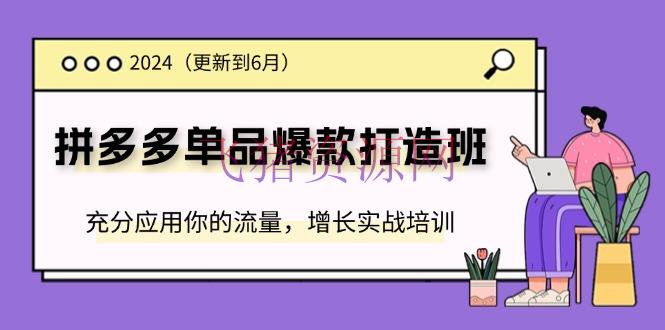 【电商运营】2024拼多多-单品爆款打造班(更新6月)，充沛使用你的流量，增加实战训练 - 拼多多 - 电商运营-飞猪资源网
