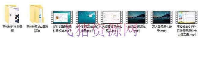图片[3]-拼多多实战课：万人团玩法/截流天然流/最新强付费打法/最新原价卡大促实操/大促被下架怎样处理-阿灿说钱