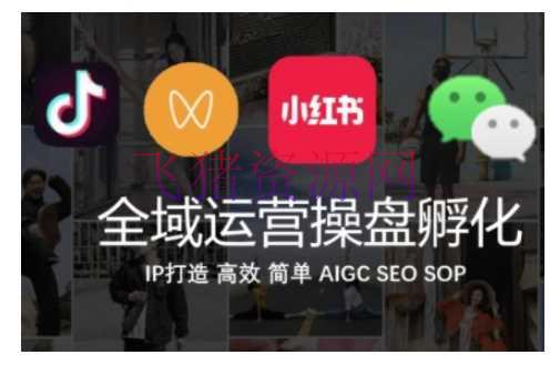 【网赚项目】全域运营操盘(抖音+私域+小红书)，IP打造高效简略 - 网赚项目 - 全域运营, 网赚项目-飞猪资源网