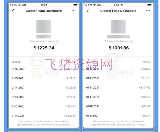 【抖音挣钱】龟课TikTok变实际战训练营线上第2期：日入上百+美刀，月收益上万不成问题【结束】