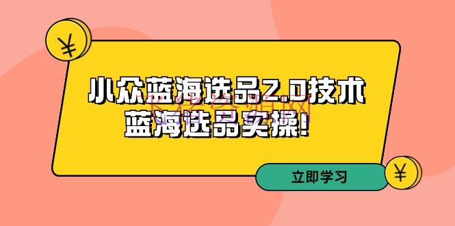 【电商运营】拼多多开店训练第33期：小众蓝海选品2.0技能-蓝海选品运营实操！ - 拼多多 - 电商, 电商运营, 选品-飞猪资源网