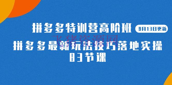 【拼多多运营】2023拼多多特训营高阶班，带你玩转拼多多技巧！赶快来学习吧！（独家攻略）【9月13日更新】 - 拼多多 - 电商运营, 运营-飞猪资源网