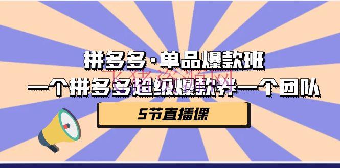 拼多多·单品爆款班，一个拼多多超级爆款养一个团队（5节直播课） - 拼多多 - 电商运营-飞猪资源网
