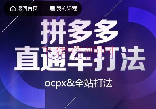 互力·拼多多直通车实战课程，把握OCPX和全站推行的打法 - 拼多多 --飞猪资源网
