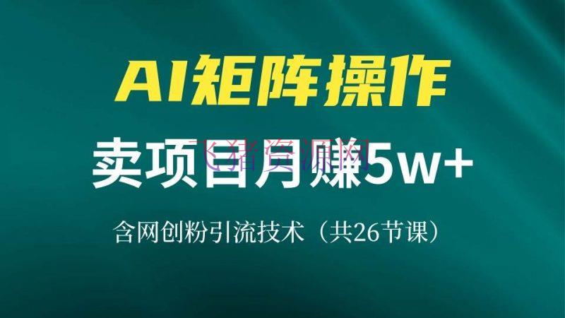 【AI变现】网创IP打造课，凭借AI卖项目月赚5万+，含引流技能（共26节课） - 网赚项目 - AI变现-飞猪资源网