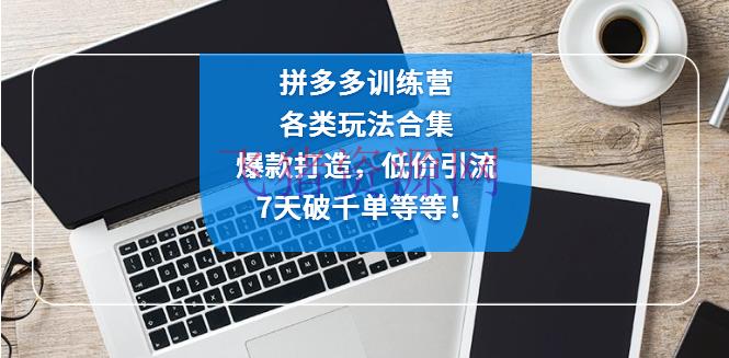 【电商运营】拼多多训练营：各玩法合集，爆款打造，贱价引流，7天破千单等等！ - 拼多多 - 教程, 电商, 电商运营, 运营-飞猪资源网