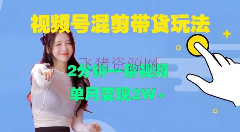 【网赚项目】视频号混剪玩法，2分钟一条视频，单月变现2W+【揭秘】视频号混剪玩法，2分钟一条视频，单月变现2W+【揭秘】 - 网赚项目 - 网赚项目, 视频号混剪-飞猪资源网