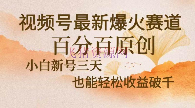 【网赚项目】视频号最新爆火赛道，中老年粉毫不怀疑，百分百原创，新号三天收益轻松… - 网赚项目 - 网赚项目, 视频号-飞猪资源网