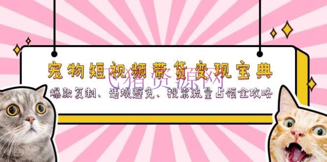 【网赚项目】宠物短视频带货变现宝典：爆款仿制、违规防止、查找流量占据全攻略 - 网赚项目 - 宠物短视频, 短视频带货, 网赚项目-飞猪资源网
