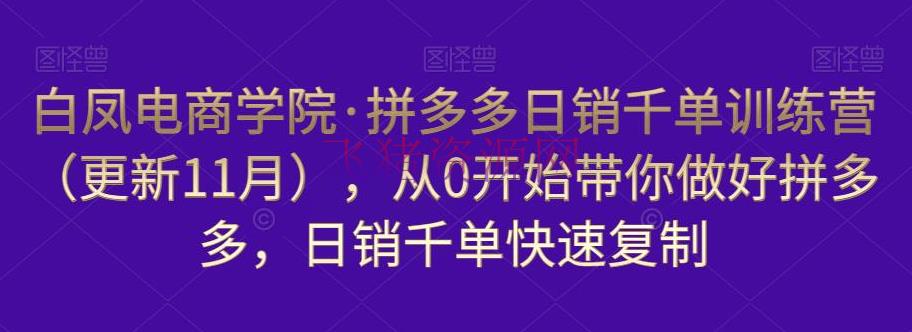 【电商运营】拼多多日销千单训练营（更新11月），从0开端带你做好拼多多，日销千单快速仿制 - 拼多多 - 教程, 电商, 电商运营, 运营, 选品-飞猪资源网