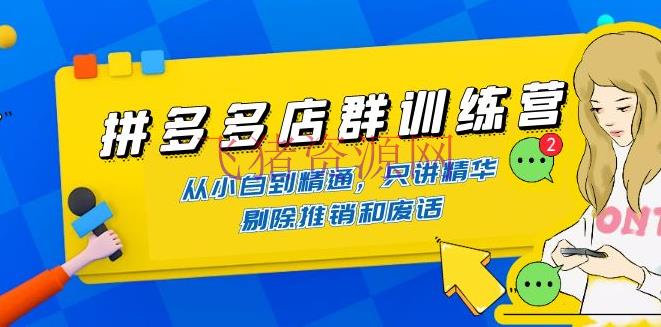 拼多多店群训练营：从小白到通晓，只讲精华，除掉推销和废话 - 拼多多 - 店群, 教程, 电商, 电商运营, 运营, 选品-飞猪资源网