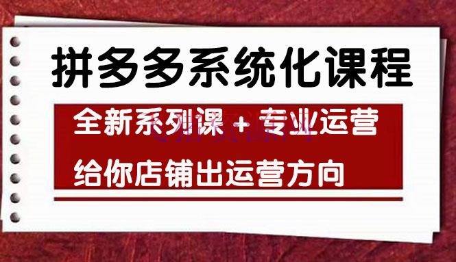 【拼多多运营】车神陪跑，拼多多系统化课程，全新系列课+专业运营给你店肆出运营方向 - 拼多多 - 教程, 电商, 电商运营, 运营-飞猪资源网