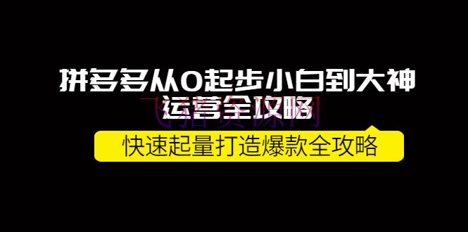【拼多多运营】拼多多从0起步小白到大神运营全攻略，快速起量打造10W+爆款全攻略！ - 拼多多 - 教程, 电商, 电商运营, 运营-飞猪资源网