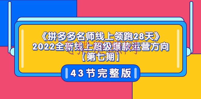 《拼多多名师线上领跑28天》2022全新线上超级爆款运营方向【第七期】43节课 - 拼多多 - 电商运营, 网赚项目, 运营-飞猪资源网