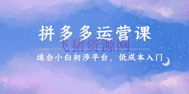【京东拼多多】拼多多运营课，合适小白初涉渠道，低成本入门发明销量和赢利的办法 - 拼多多 - 电商运营, 网赚项目, 运营-飞猪资源网