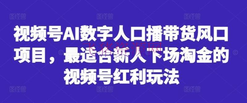 视频号AI数字人口播带货风口项目，最适合新人下场淘金的视频号盈利玩法 - 网赚项目 - Ai带货, AI数字人, 视频号-飞猪资源网