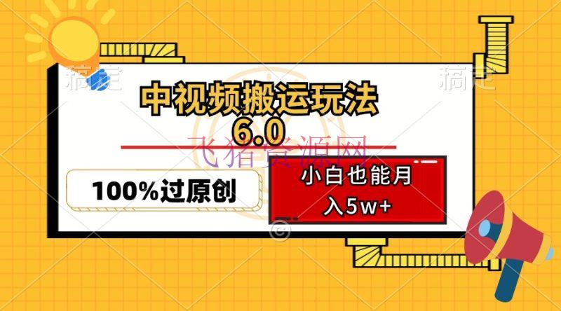 【网赚项目】中视频转移玩法6.0，使用软件两层去重，100%过原创，小白也能月入5w+ - 网赚项目 - 中视频搬运, 网赚项目-飞猪资源网