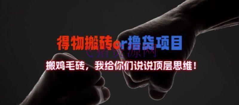 【网赚项目】得物搬砖撸货项目?掰下数据，我给你们说说顶层思想【揭秘】 - 网赚项目 - 得物搬砖, 网赚项目-飞猪资源网