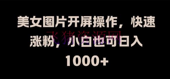 【网赚项目】美人图片开屏操作，快速涨粉，小白也可日入1K【揭秘】 - 网赚项目 - 网赚项目, 美女图片-飞猪资源网