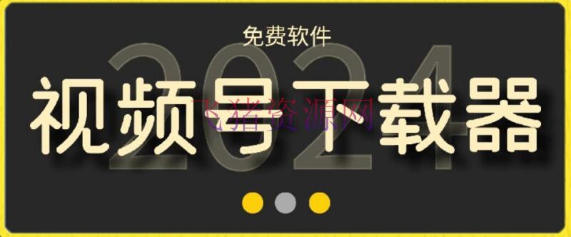 【精品软件】视频号高清免费下载器【支撑window+mac体系】，全渠道资源下载器 - 精品软件 - 视频号下载-飞猪资源网