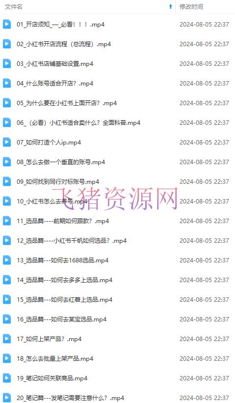 图片[2]-2024小红书电商实战课：全系统打造 全方位整理 小红书电商逻辑系统 (42节)-阿灿说钱
