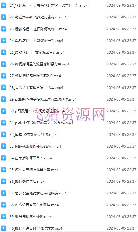 图片[3]-2024小红书电商实战课：全系统打造 全方位整理 小红书电商逻辑系统 (42节)-阿灿说钱