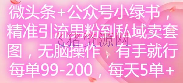 【网赚项目】微头条+大众号小绿书，精准引流男粉到私域卖套图，无脑操作，有手就行，每单99-200，每天5单 - 网赚项目 - 微头条, 精准引流, 网赚项目-飞猪资源网