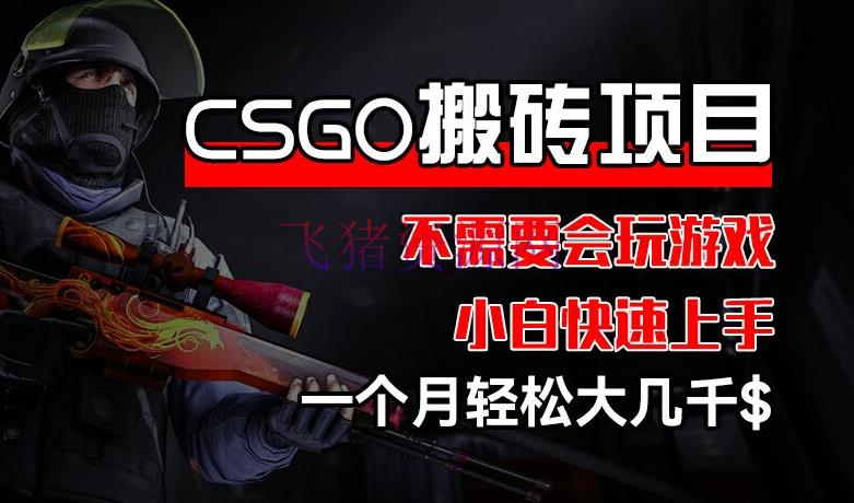 【网赚项目】CSGO 配备搬砖项目，操作简略，不需要会玩游戏，小白也能快速上手，一个月轻松大几千【揭秘】 - 网赚项目 - 游戏搬砖, 网赚项目-飞猪资源网