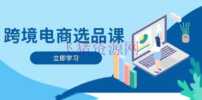 【跨境电商】跨境电商选品课：包括电动滑板车、健康医疗、电子游戏、厨房用品、宠物等 - 跨境电商 - 电商选品-飞猪资源网