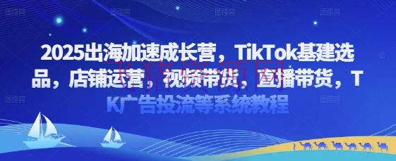 2025出海加快生长营，TikTok基建选品，店肆运营，视频带货，直播带货，TK广告投流等体系教程-飞猪资源网
