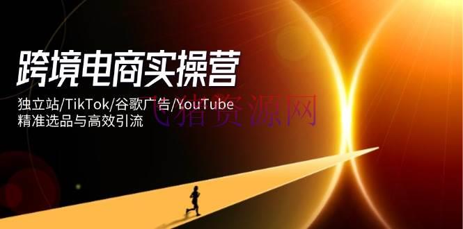 【跨境电商】跨境电商实操营：独立站/TikTok/谷歌广告/YouTube，精准选品与高效引流 - 跨境电商 - tiktok, youtube, 独立站-飞猪资源网