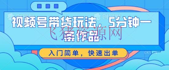 【网赚项目】视频号带货玩法，5分钟一条著作，入门简略，快速出单【揭秘】 - 网赚项目 - AI变现, 数字人, 网赚项目, 视频号带货-飞猪资源网
