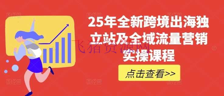 25年全新跨境出海独立站及全域流量营销实操课程，跨境电商独立站TIKTOK全域营销普货特货玩法大全 - 跨境电商 - tiktok, 独立站-飞猪资源网