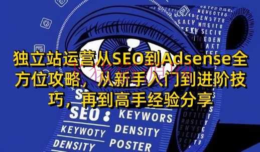 独立站运营从SEO到Adsense全方位攻略，重新手入门到进阶技巧，再到高手经历共享 - 跨境电商 --飞猪资源网