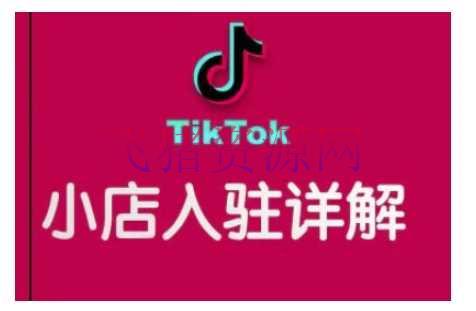TikTok跨境小店运营全攻略，协助你独立运营TK跨境小店的才能，完成销量增加 - 跨境电商 - tiktok, 跨境小店-飞猪资源网