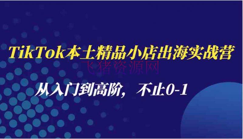 【跨境电商】TikTok本乡精品小店出海实战营，从入门到高阶，不止0-1 - 跨境电商 - tiktok-飞猪资源网