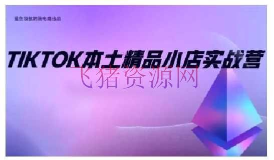 【跨境电商】TikTok本乡精品小店出海实战营，从入门到高阶，不止0-1! - 跨境电商 - tiktok-飞猪资源网