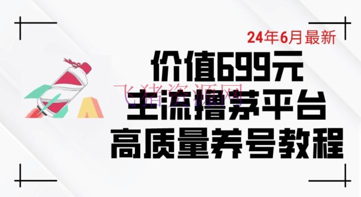 【网赚项目】6月最新价值699的干流撸茅台渠道精品养号下车攻略【揭秘】 - 网赚项目 - 撸茅台, 网赚项目-飞猪资源网