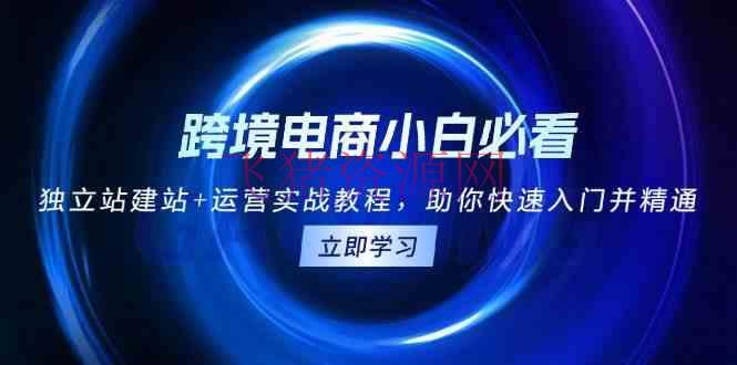 【跨境电商】跨境电商小白必看！独立站建站+运营实战教程，助你快速入门并通晓 - 跨境电商 --飞猪资源网