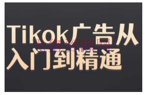 【跨境电商】Tiktok Ads实操教程，Tiktok广告从入门到通晓 - 跨境电商 - tiktok-飞猪资源网