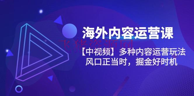 【网赚项目】海外内容 运营课【中视频】多种内容运营玩法 风口正当时 掘金好时机-101节 - 网赚项目 飞猪资源网-飞猪资源网